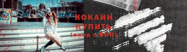 тгк Новозыбков