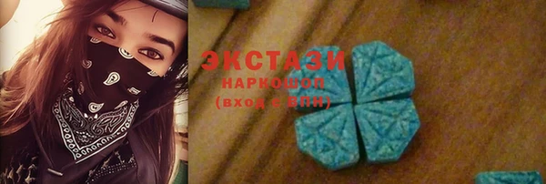 тгк Новозыбков