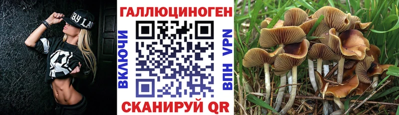 Галлюциногенные грибы Magic Shrooms  Кингисепп 