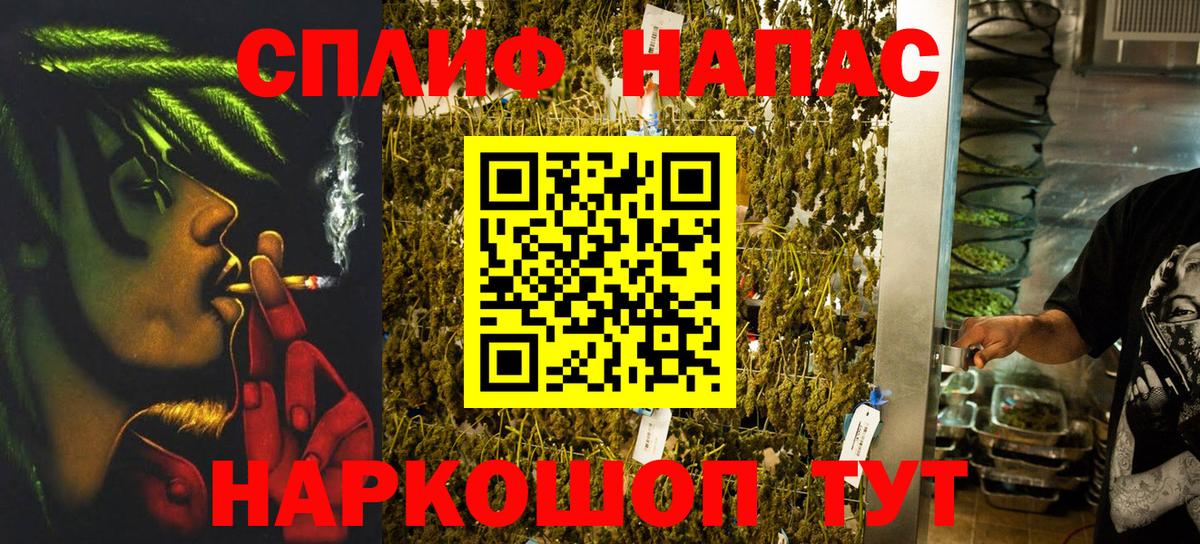 Кингисепп  Бошки марихуана семена  Вход с VPN  Бошки Шишки AK-47  Канабис планчик 